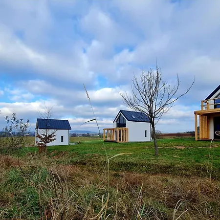 Wataha Pod Basztami - Wadera - Caloroczne