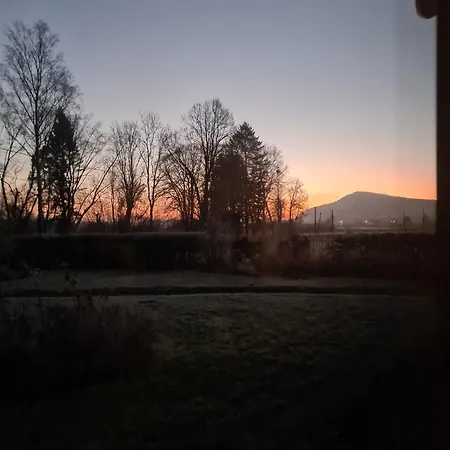 Wataha Pod Basztami - Wadera - Caloroczne