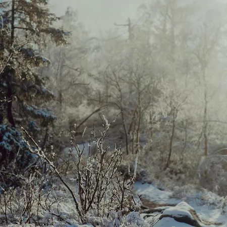 Wataha Pod Basztami - Wadera - Caloroczne *