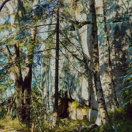 Wataha Pod Basztami - Wadera - Caloroczne 펜션