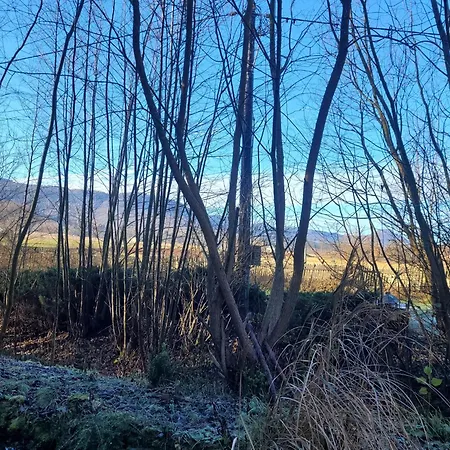 펜션 Wataha Pod Basztami - Wadera - Caloroczne *