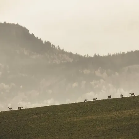 펜션 Wataha Pod Basztami - Wadera - Caloroczne *