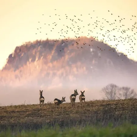 펜션 Wataha Pod Basztami - Wadera - Caloroczne 라트코프