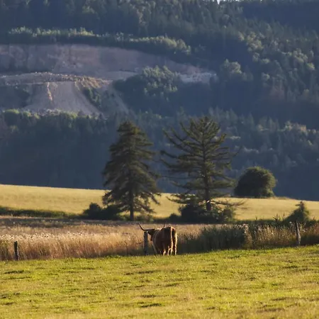 펜션 Wataha Pod Basztami - Wadera - Caloroczne *