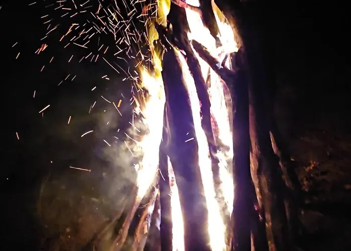 Wataha Pod Basztami - Wadera - Caloroczne