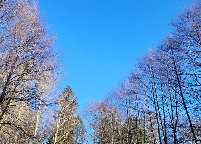 Wataha Pod Basztami - Wadera - Caloroczne Semesterbostad