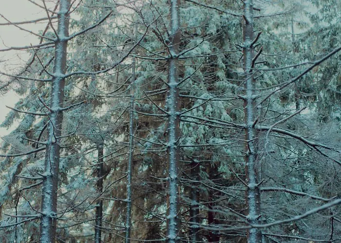 Wataha Pod Basztami - Wadera - Caloroczne Semesterbostad Radkow