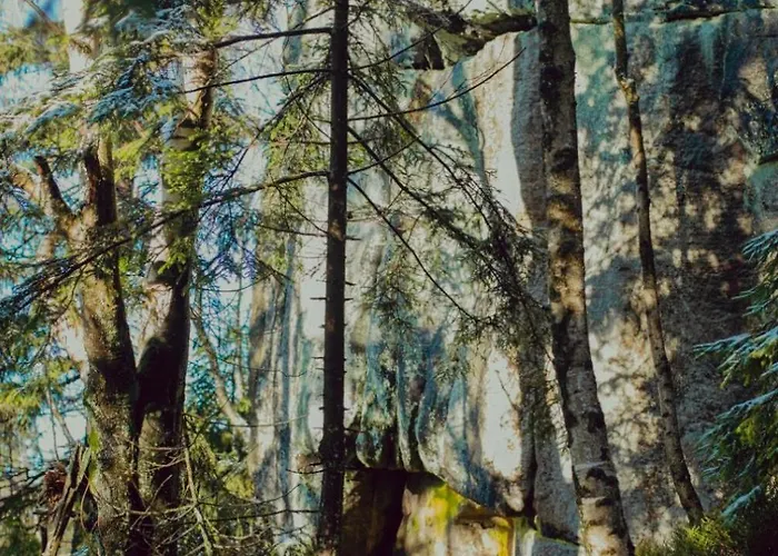 Wataha Pod Basztami - Wadera - Caloroczne Semesterbostad