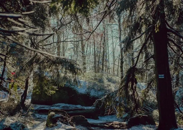 Wataha Pod Basztami - Wadera - Caloroczne *