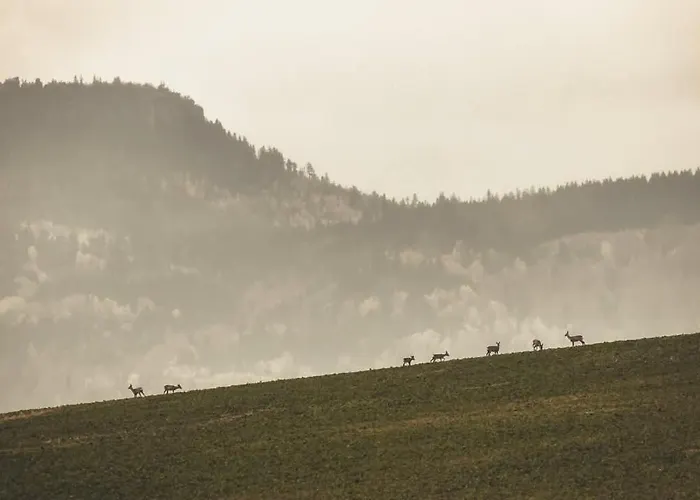 Semesterbostad Wataha Pod Basztami - Wadera - Caloroczne *