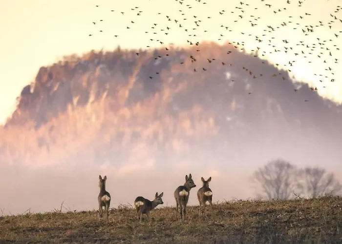 Semesterbostad Wataha Pod Basztami - Wadera - Caloroczne Radkow