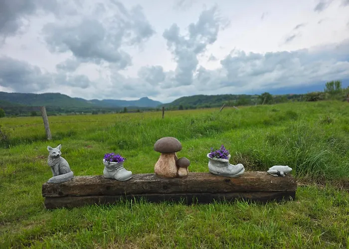 Wataha Pod Basztami - Wadera - Caloroczne Semesterbostad *